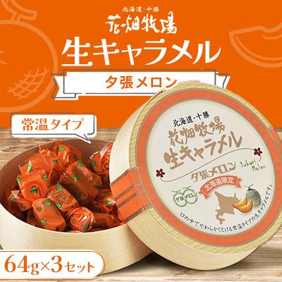 ふるさと納税 中札内村 花畑牧場 生キャラメル 夕張メロン(常温) 64g×3セット