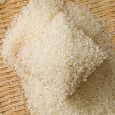 ふるさと納税 久米南町 【食味鑑定士厳選】岡山県産 コシヒカリ30kg(5kg×6袋)_2