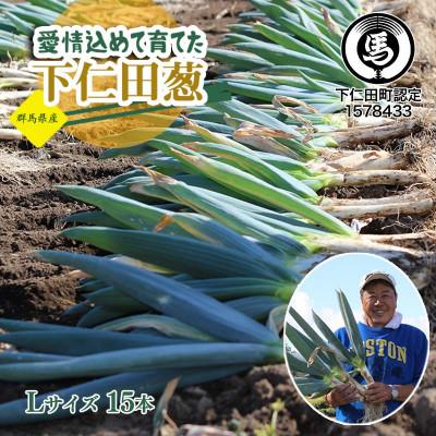 ふるさと納税 下仁田町 愛情込めて育てた下仁田葱(Lサイズ15本)