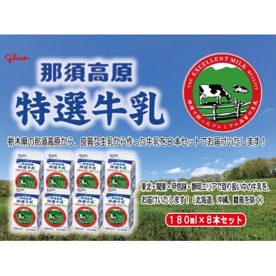 ふるさと納税 那須塩原市 那須高原特選牛乳8本セット