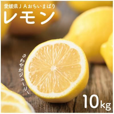 ふるさと納税 上島町 [先行予約]瀬戸内レモン10kg 2L〜M JA選果品