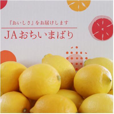 ふるさと納税 上島町 [先行予約]瀬戸内レモン小箱 約2.5K JA選果品 2L〜Mサイズ