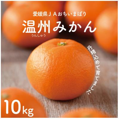 ふるさと納税 上島町 [先行予約]瀬戸内の温州みかん10kg L〜S JA選果品