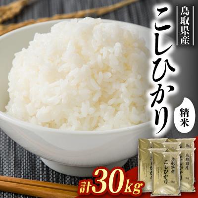 ふるさと納税 智頭町 【食味鑑定士厳選】鳥取県産 コシヒカリ30kg(5kg