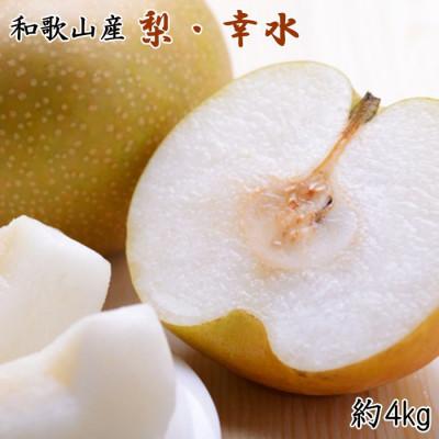 ふるさと納税 有田川町 [農園直送]和歌山県有田巨峰村の梨(幸水)約4kg[2026年度発送分]