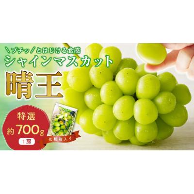 ふるさと納税 備前市 [2025年発送分 先行受付]岡山県産シャインマスカット「晴王」 特選 化粧箱入 1房(約700g)