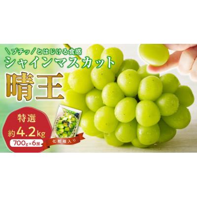ふるさと納税 備前市 [2025年発送分 先行受付]岡山県産シャインマスカット「晴王」化粧箱入 1房(約700g×6房)