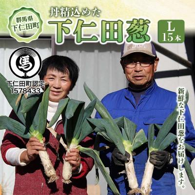 ふるさと納税 下仁田町 丹精込めた下仁田葱(Lサイズ15本)