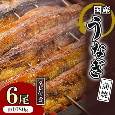 ふるさと納税 吉野ヶ里町 国産うなぎ蒲焼 6枚セット(約1080g)