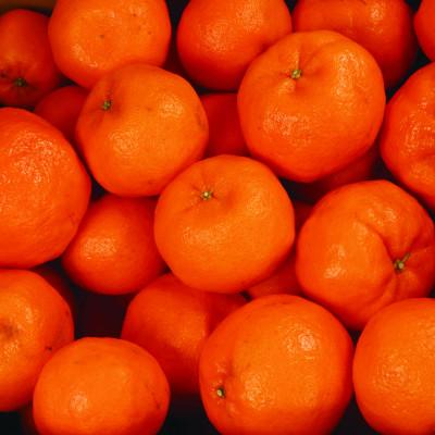 ふるさと納税 那智勝浦町 家庭用 ポンカン10kg+250g(傷み補償分)【訳あり】【光センサー選果】 |  | 01