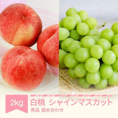 ふるさと納税 村山市 先行予約 白桃秀品 &amp; シャインマスカット 詰め合わせ 計約2kg 令和8年産