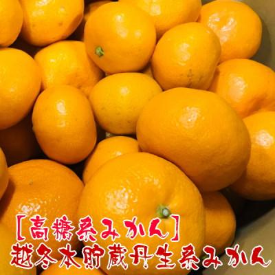 ふるさと納税 有田川町 [高糖系みかん]越冬本貯蔵丹生系みかん 約3kg(S・M・Lサイズ混合)