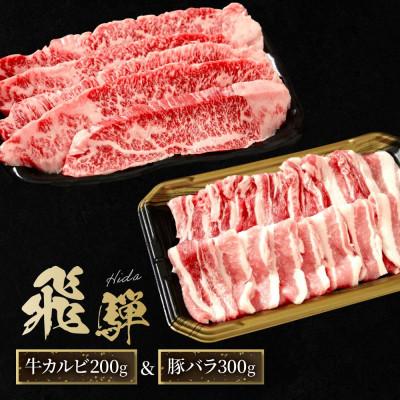 ふるさと納税 高山市 飛騨牛 焼肉 カルビ200g &amp; 飛騨豚 バラ300g
