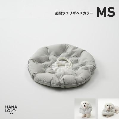 ふるさと納税 岡崎市 [ハナロロ]エリザベスカラー MS(アッシュグレー)
