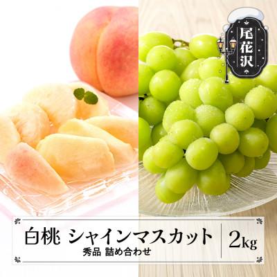 ふるさと納税 尾花沢市 先行受付 白桃 シャインマスカット 秀品 詰め合わせ 計2kg 令和8年産 ns-fshsx2