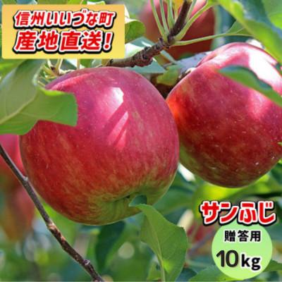 ふるさと納税 飯綱町 りんご サンふじ 12月上旬より順次発送予定 贈答用 10kg
