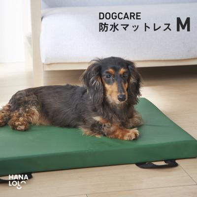 ふるさと納税 岡崎市 ドッグケア 床ずれ予防マットレス M