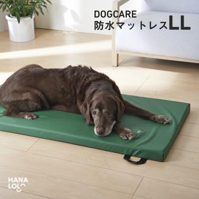 ふるさと納税 岡崎市 ドッグケア 床ずれ予防マットレス LL