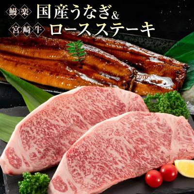 ふるさと納税 新富町 鰻楽 国産うなぎ 2尾 計360g&amp;宮崎牛 ロースステーキ 250g×2枚 計500g(新富町)