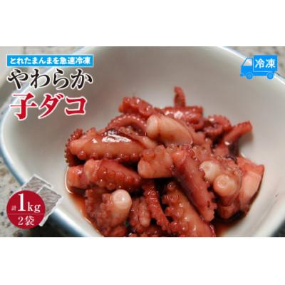 ふるさと納税 香美町 とれたまんまを急速冷凍 やわらか子ダコ 500g×2袋 1kg 冷凍