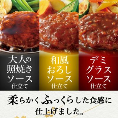 ふるさと納税 都城市 霧島黒豚 3種の煮込みハンバーグ 12個セット(デミグラス・和風おろし・大人の照り焼き) |  | 02