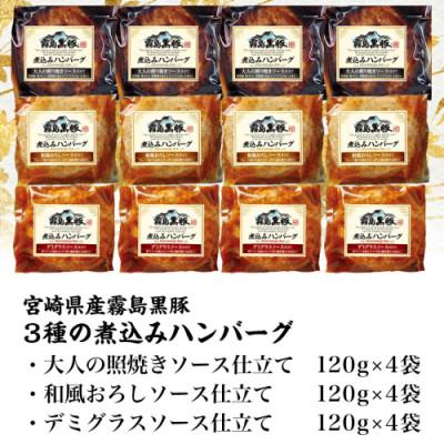 ふるさと納税 都城市 霧島黒豚 3種の煮込みハンバーグ 12個セット(デミグラス・和風おろし・大人の照り焼き) |  | 03