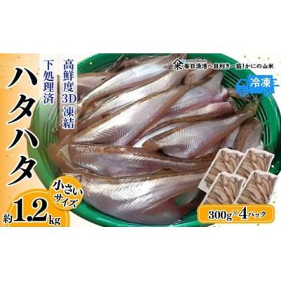 ふるさと納税 香美町 小さいサイズのハタハタ 計1.2kg(300g×4パック)下処理済み(冷凍)