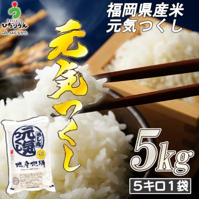 ふるさと納税 春日市 JAよりお届け!福岡県ブランド米「元気つくし」5kg(春日市)