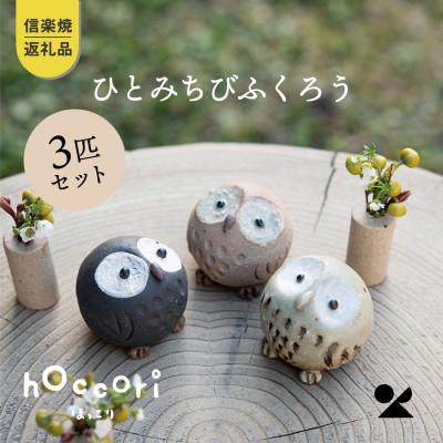 ふるさと納税 甲賀市 信楽焼・明山の ひとみちびふくろう 3匹セット hc-060708