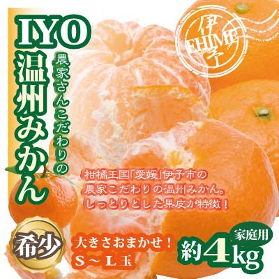 ふるさと納税 伊予市 愛媛産 伊予の農家さんこだわり温州みかん 約4kg S〜Lサイズ 大きさおまかせ