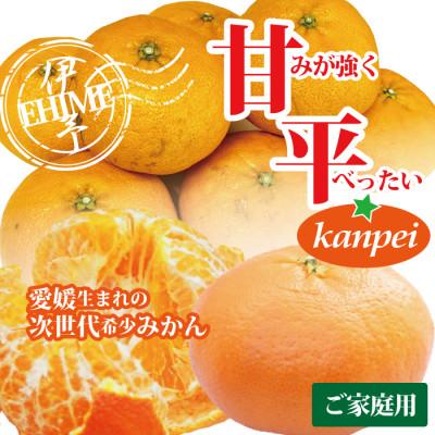 ふるさと納税 伊予市 みかん 甘平 愛媛県産 訳あり ご家庭用 約2kg 2L〜4L玉 サイズ不揃い