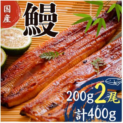 ふるさと納税 吉野ヶ里町 国産うなぎ蒲焼200g×2尾
