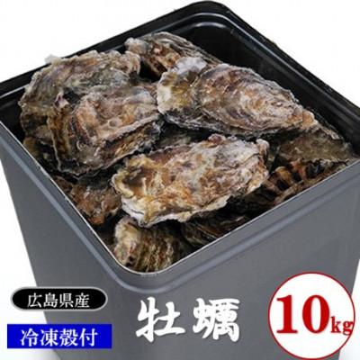 ふるさと納税 大竹市 レビューキャンペーン中!アミスイの牡蠣(冷凍殻付) 10kg
