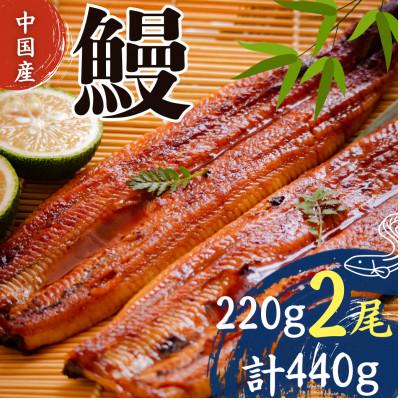 ふるさと納税 吉野ヶ里町 うなぎ蒲焼220g×2尾