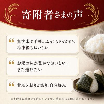 ふるさと納税 和水町 【令和7年産】熊本県産 くまさんの輝き 無洗米
