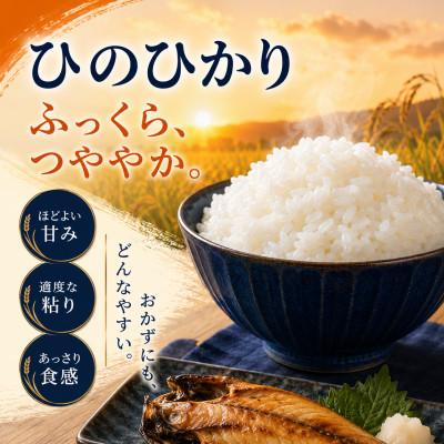 ふるさと納税 和水町 【令和7年産】熊本県産 ひのひかり 無洗米 10kg