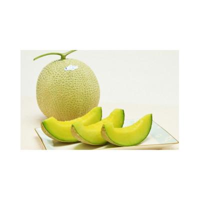 ふるさと納税 鴨川市 高級マスクメロン「千葉アクアメロン」 L玉[SF0010-0097]