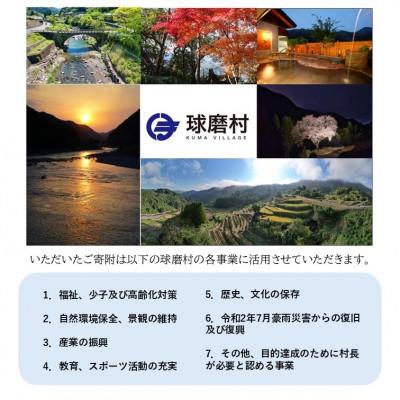 ふるさと納税 球磨村 【返礼品なし】熊本県球磨村への応援寄附金(2,000円分) |  | 01