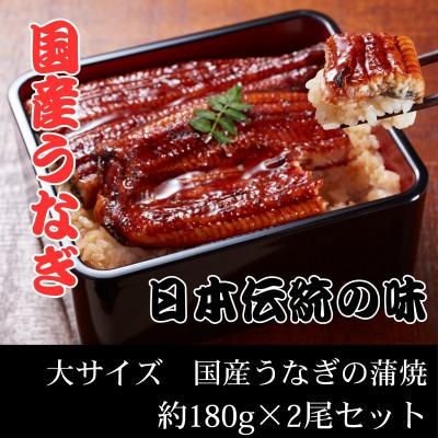 ふるさと納税 岡山市 国産うなぎ蒲焼 真空冷蔵 大サイズ約180g×2尾セット