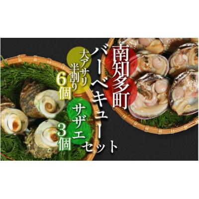 ふるさと納税 南知多町 バーベキューセット 大アサリ 半割6個 サザエ 3個 冷凍