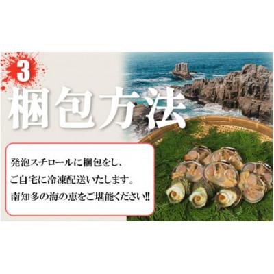 ふるさと納税 南知多町 バーベキューセット 大アサリ 半割6個 サザエ 3個 冷凍 |  | 03