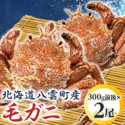 ふるさと納税 八雲町 噴火湾産毛ガニ 300g前後×2尾