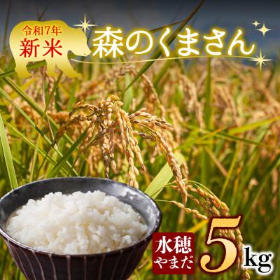 ふるさと納税 阿蘇市 [予約]新米 令和7年産 森のくまさん 5kg (白米) 水穂やまだ