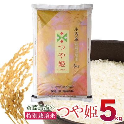 ふるさと納税 鶴岡市 [令和7年産]斎藤農場の特別栽培米つや姫5kg [K-756]