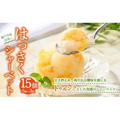ふるさと納税 竹原市 因島のはっさくシャーベット(未凍結)75g×計15個セット