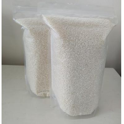 ふるさと納税 岐阜市 岐阜の米ハツシモ白米計5kg 真空パック2.5kg×2パック