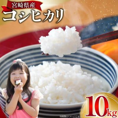 ふるさと納税 日向市 [訳あり]宮崎県産 コシヒカリ 新米 白米 10kg[令和8年産]