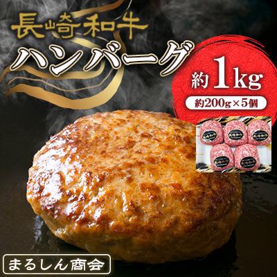 ふるさと納税 大村市 長崎和牛 ハンバーグ 約1kg(200g×5個)