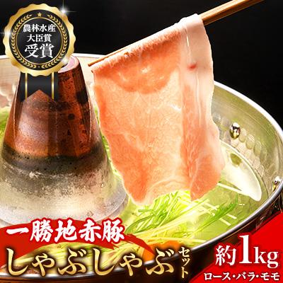ふるさと納税 球磨村 農林水産大臣賞受賞 一勝地 赤豚 しゃぶしゃぶセット 計約1kg[淋種豚場]FKP9-138var