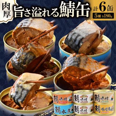 ふるさと納税 小浜市 [のし付き]鯖缶詰6缶 A(醤油・唐辛子・生姜・味噌煮・水煮) 肉厚!ジューシーな贅沢さば缶